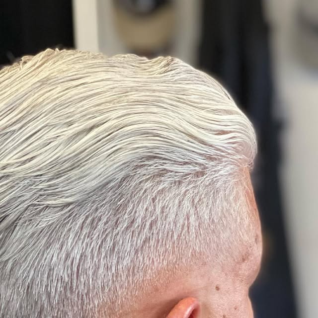 Silver hair swept back over a clean low fade
