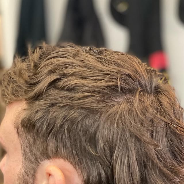 Textured mullet grown long at the back over tapered sides